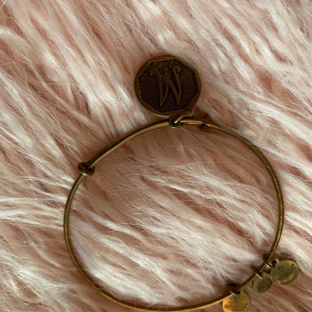 Alex and Ani bracelet